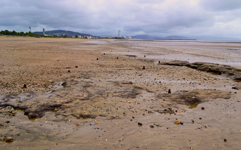 Rectangular feature with small metal posts emerging from the sand of swansea bay. the structures have been interpreted as mussel beds